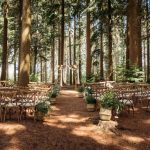 Forest wedding ceremony setup with wooden chairs.