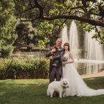 Bride and groom with dogs by fountain.