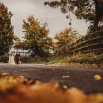 Couple walking dog on autumn country road.