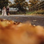 Bride and groom walking dog on autumn path