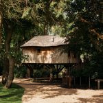 Rustic treehouse nestled in lush green forest.