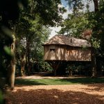 Treehouse surrounded by lush greenery in forest